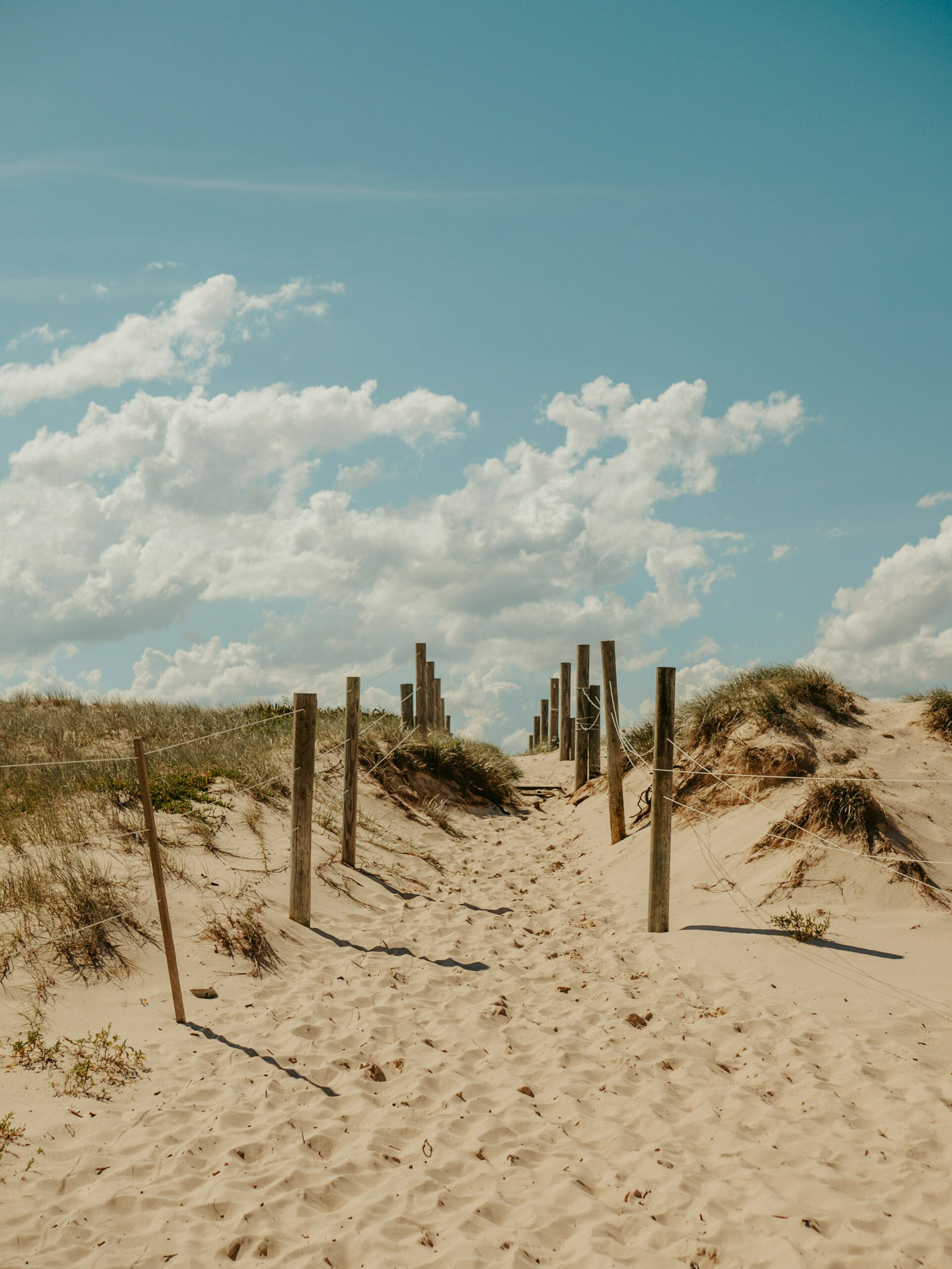 junel-mujar-9uHbOy1Aay8-unsplash